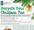 Azusa Tree Recycle